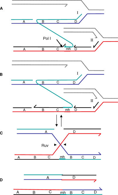 Figure 8