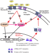 Fig 8