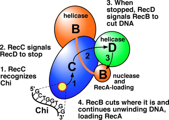 Fig 11