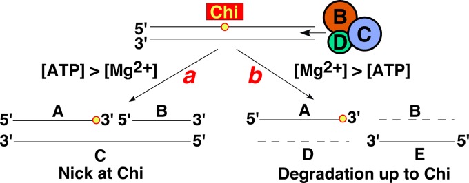 Fig 5