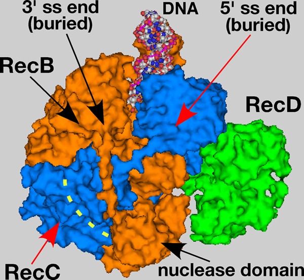 Fig 10