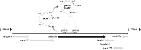 Fig. 2