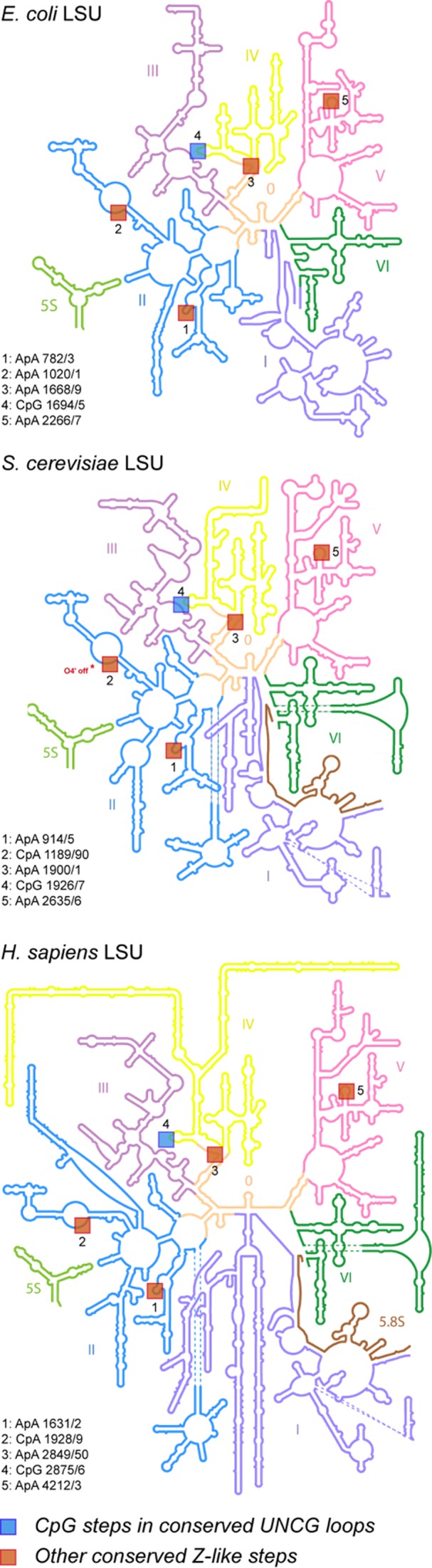 Figure 6.