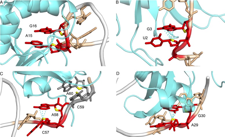 Figure 7.