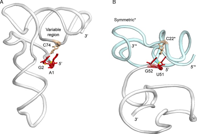 Figure 5.