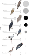 Figure 3.
