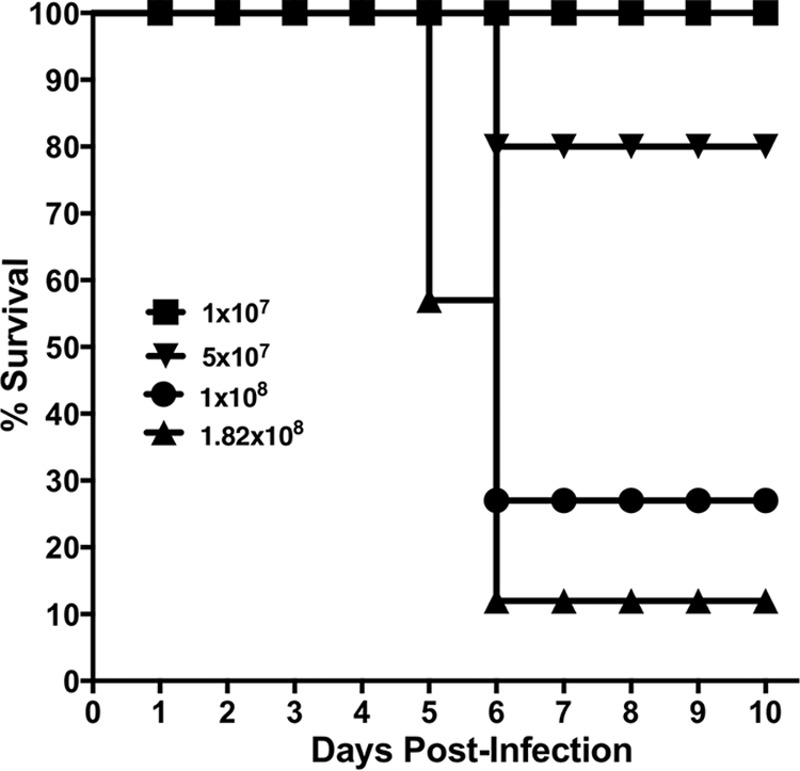 FIG 1