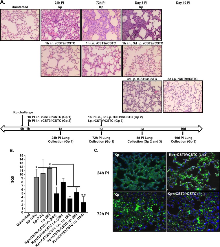 FIG 6