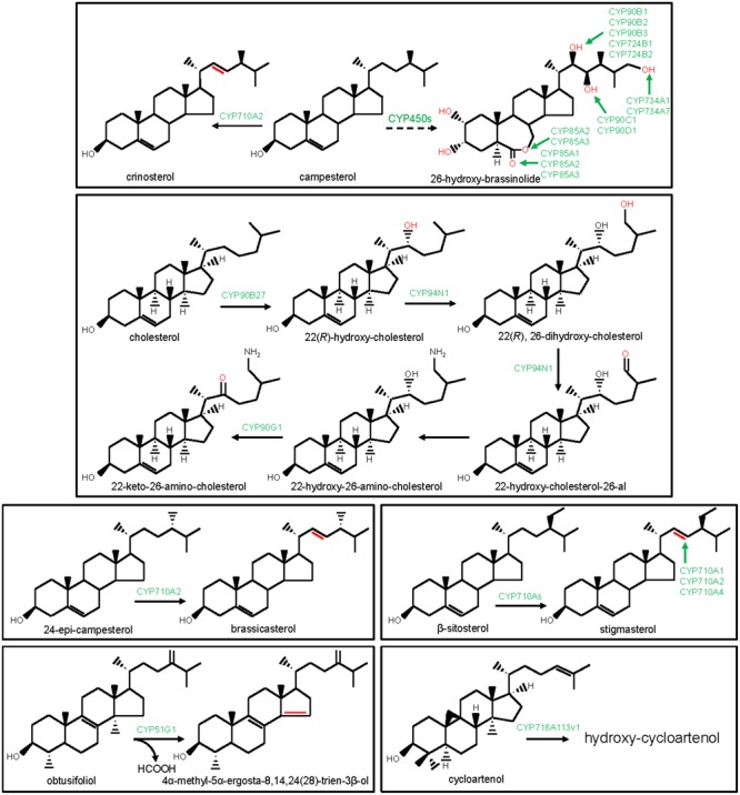 FIGURE 2