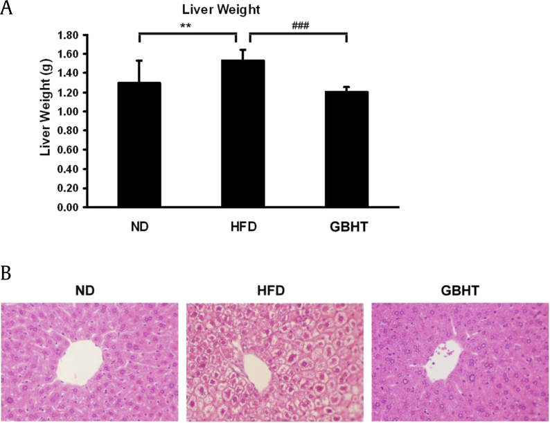 Fig. 6