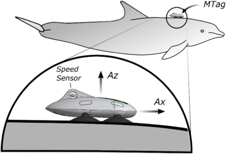 Fig 2