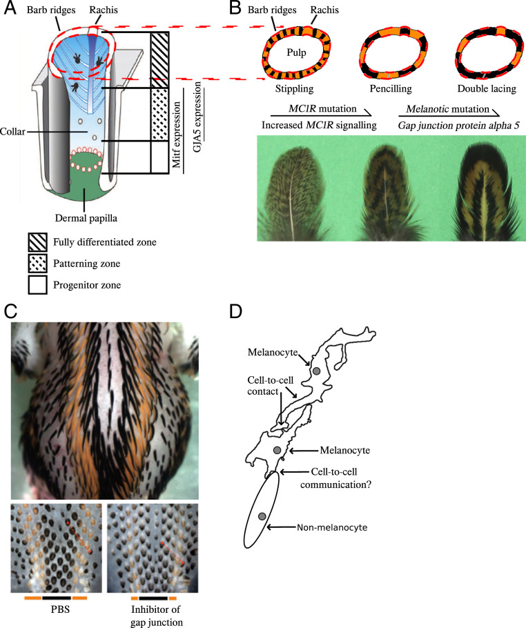 Fig. 6.