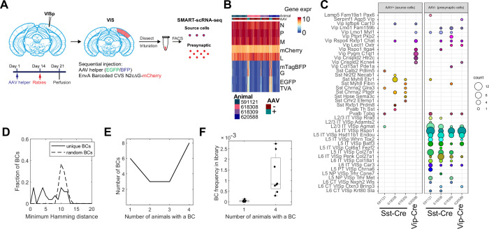 Figure 5—figure supplement 1.