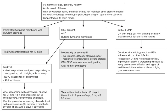 Figure 1)