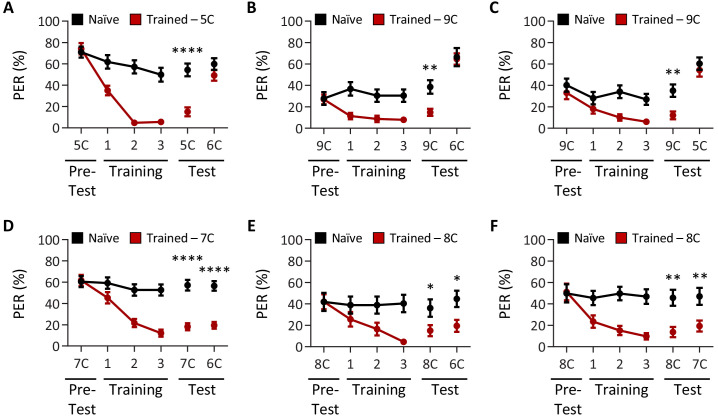 Figure 1—figure supplement 1.