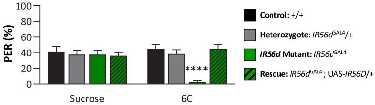 Figure 4—figure supplement 1.