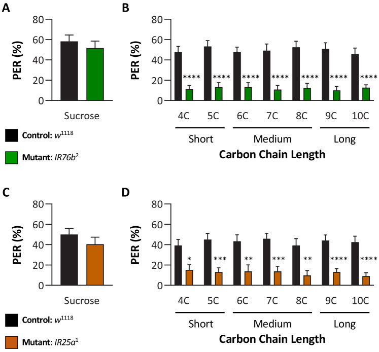 Figure 3—figure supplement 1.