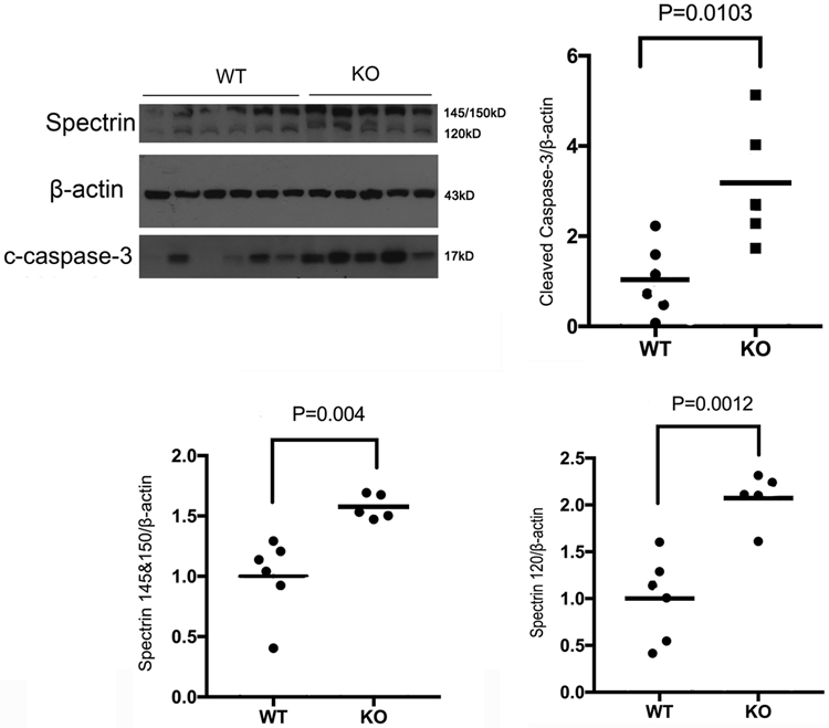 Fig. 3: