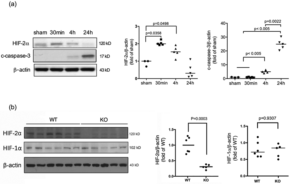 Fig. 1: