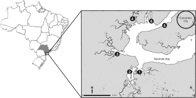 FIG. 1.