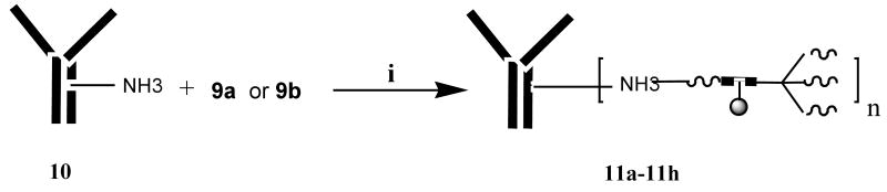 Scheme 2