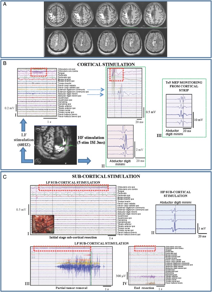 Fig. 2.