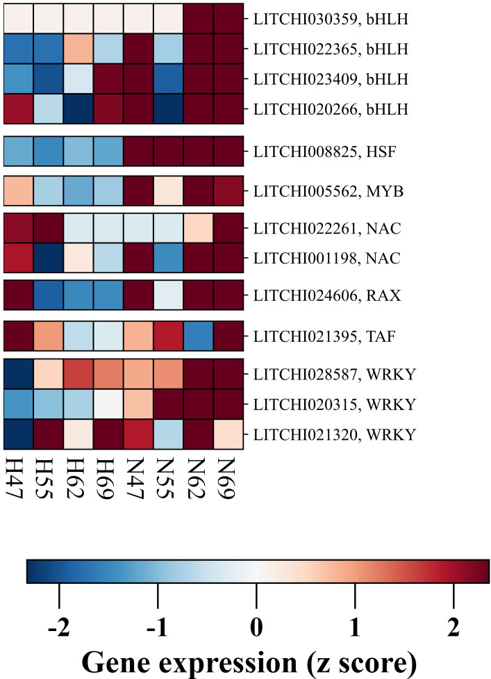 Figure 5