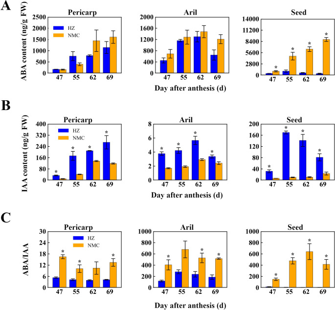 Figure 2