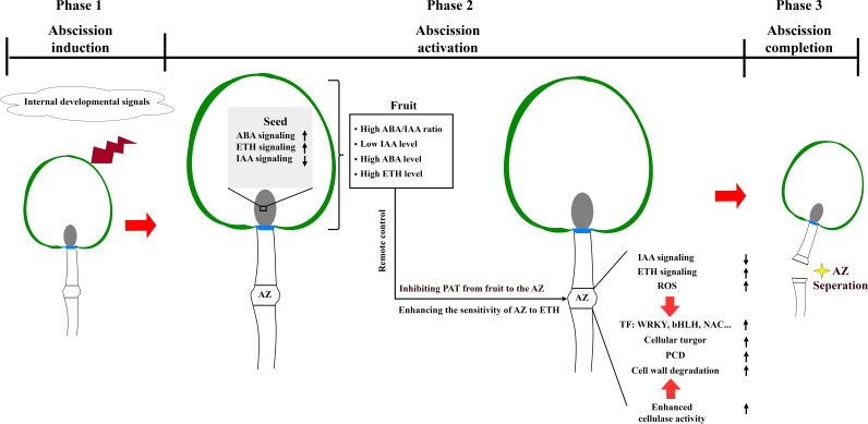 Figure 9