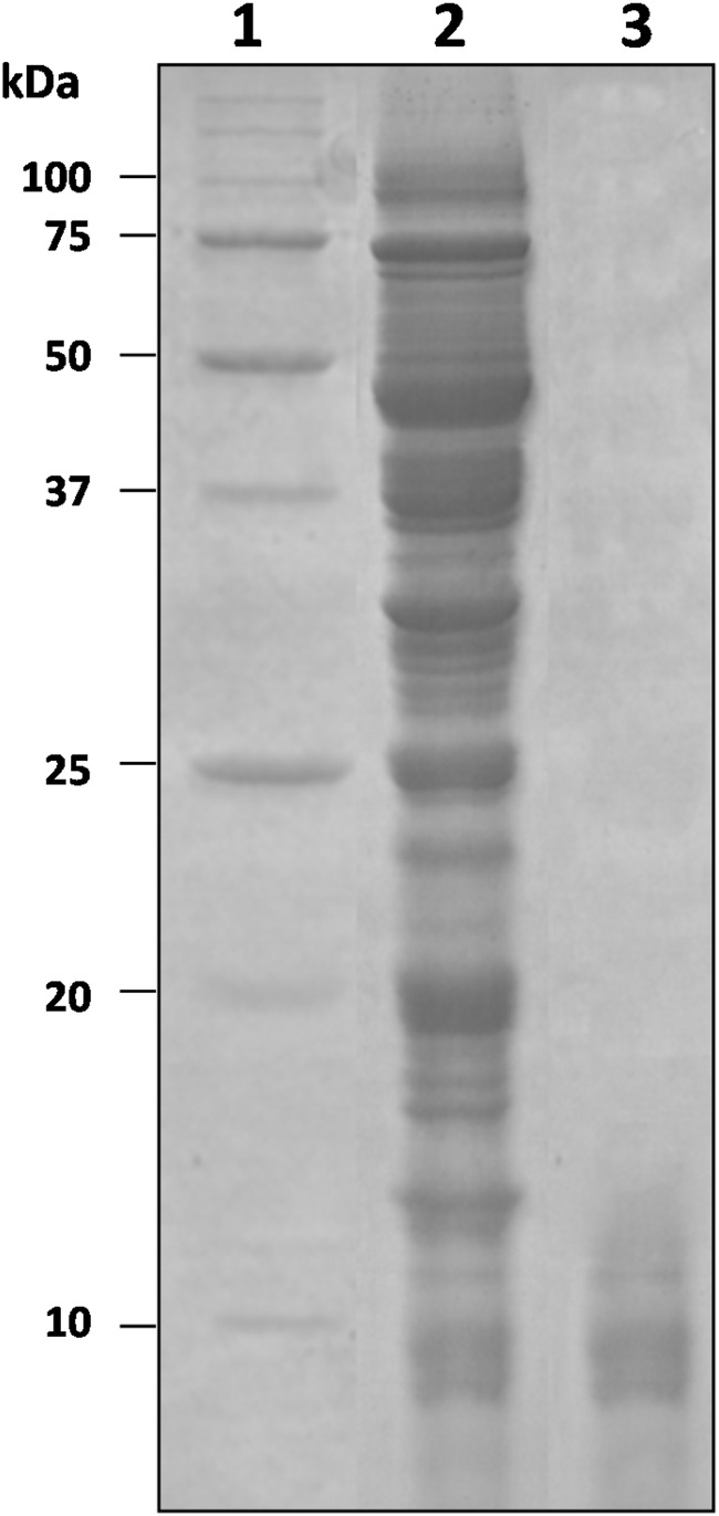 FIG 3