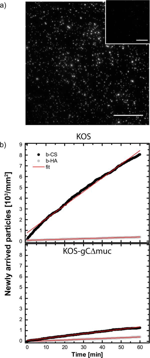 FIGURE 9.