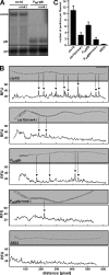 Fig. 3.