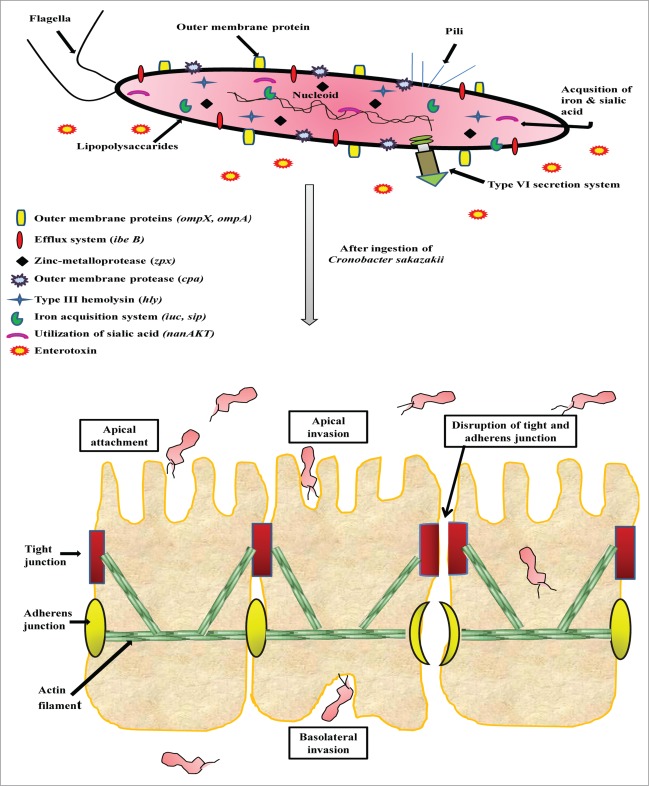 Figure 1.