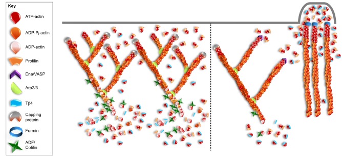 Fig. 3.