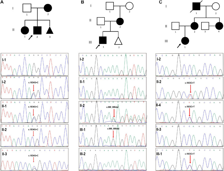 FIGURE 1