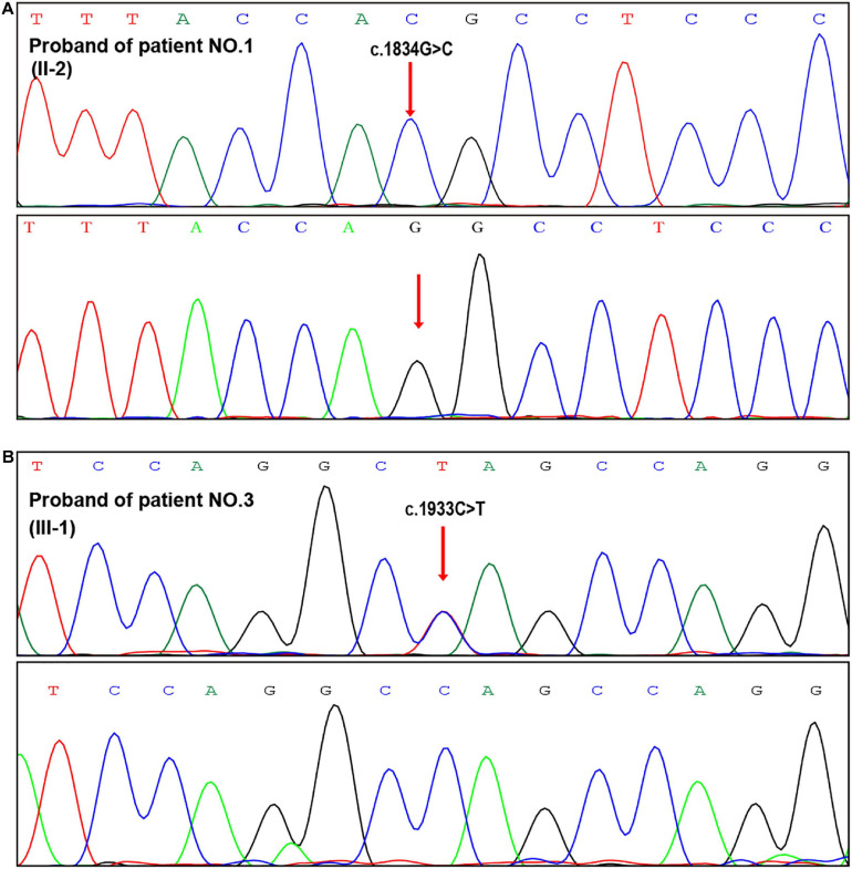 FIGURE 2