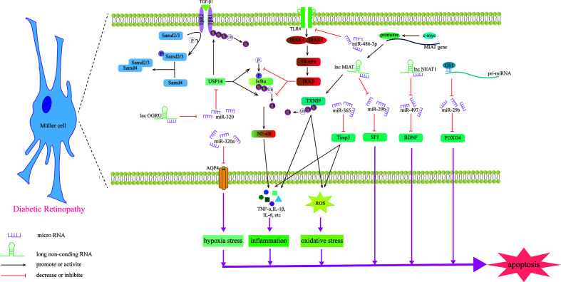 Figure 4