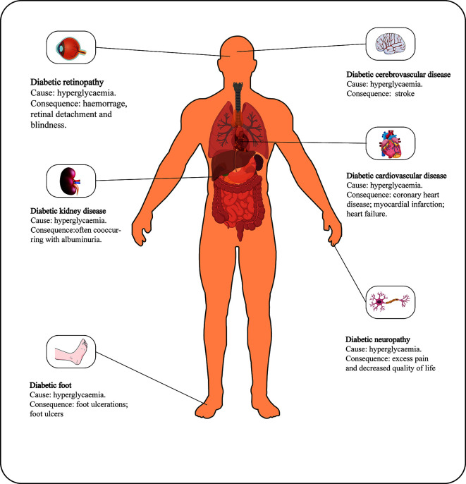 Figure 1