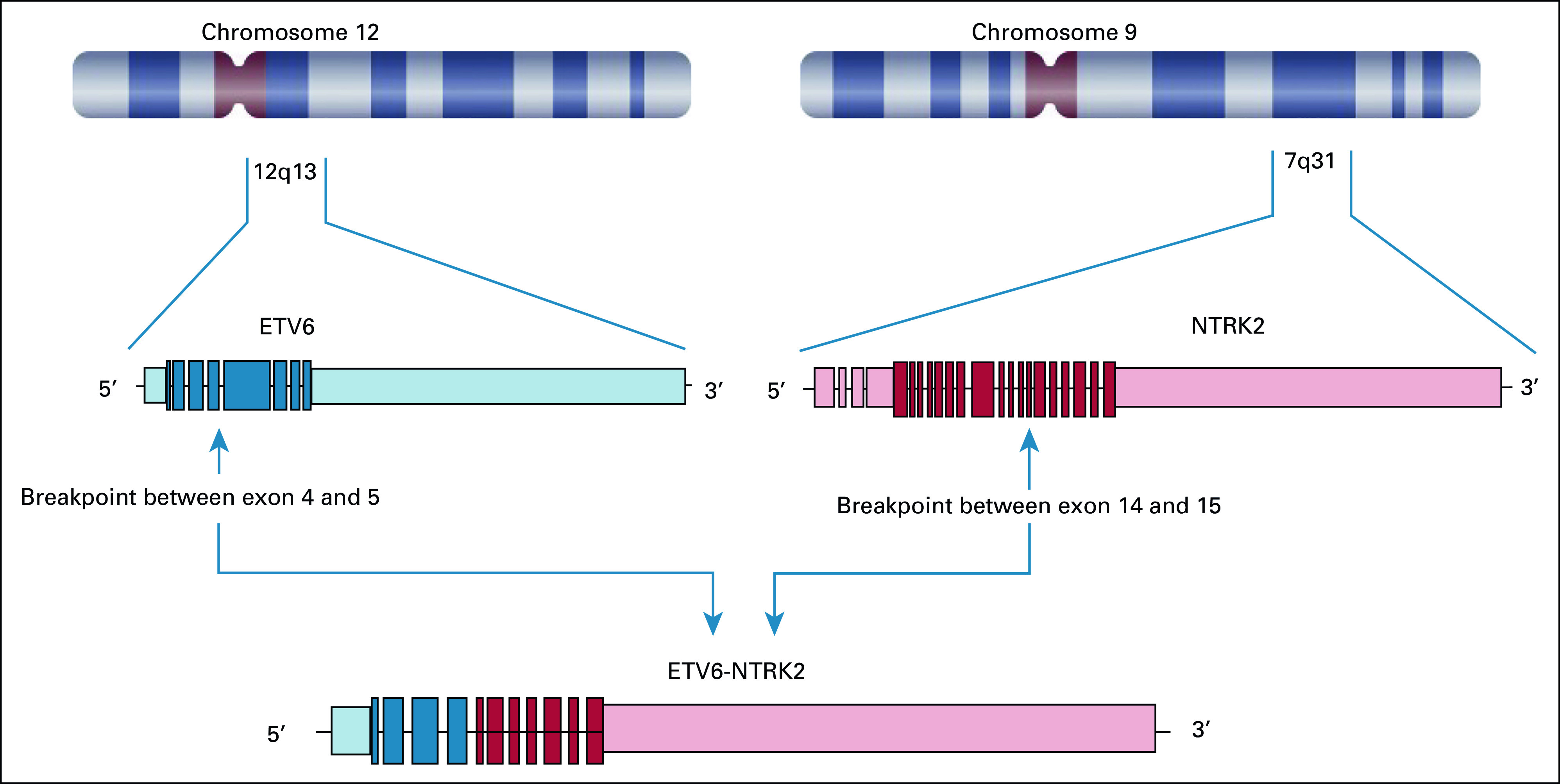 FIG 2.