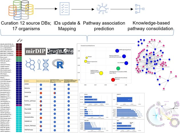 Graphical Abstract