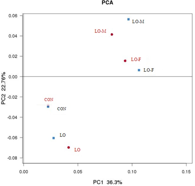 Fig 6