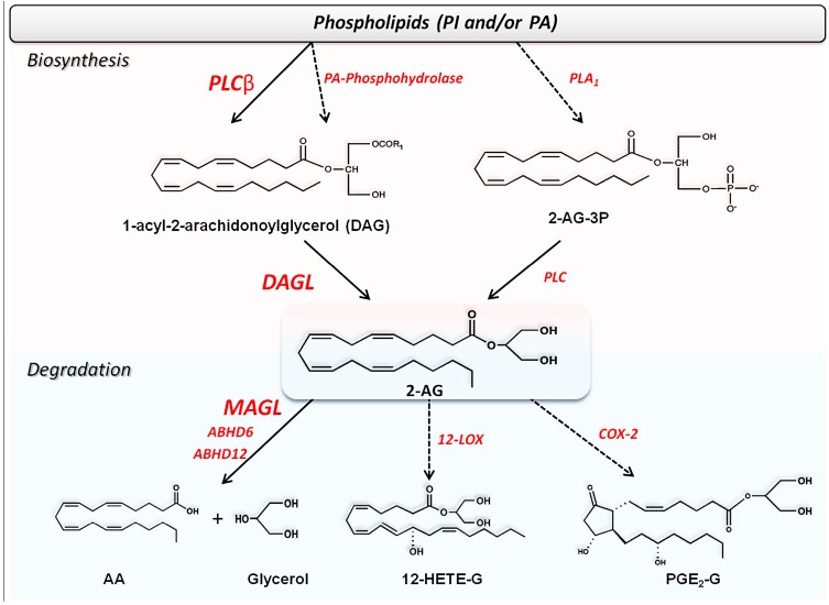 Scheme 2