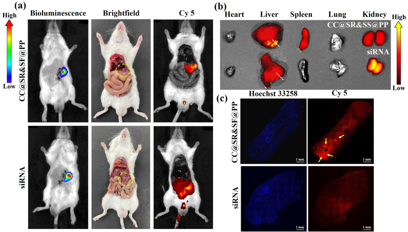 Fig. 3