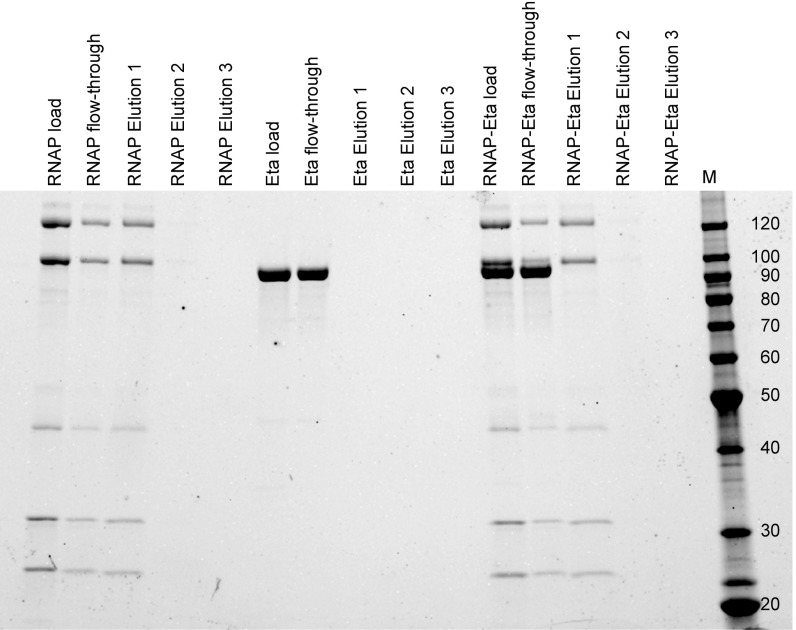 Fig. S2.