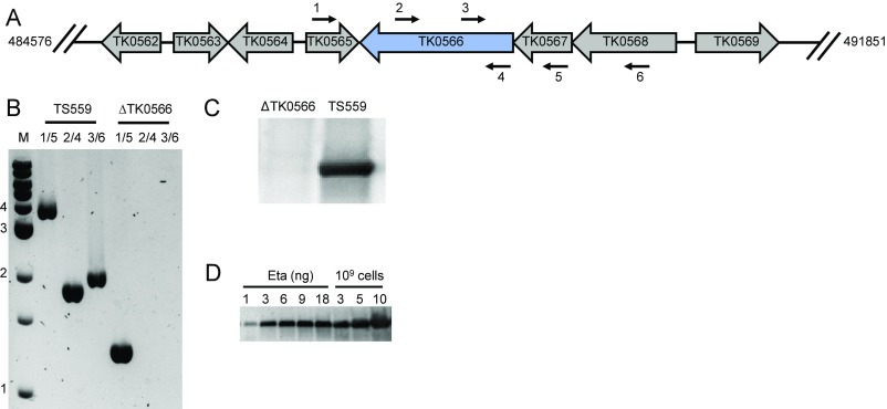 Fig. S4.