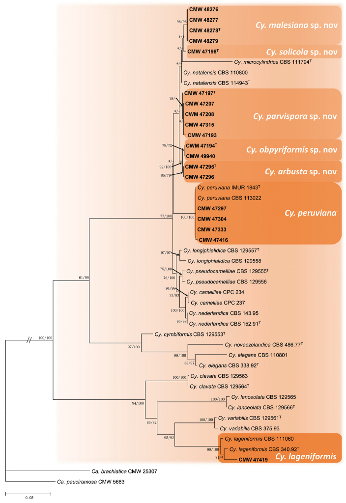 Figure 1.