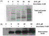 Fig. 8.