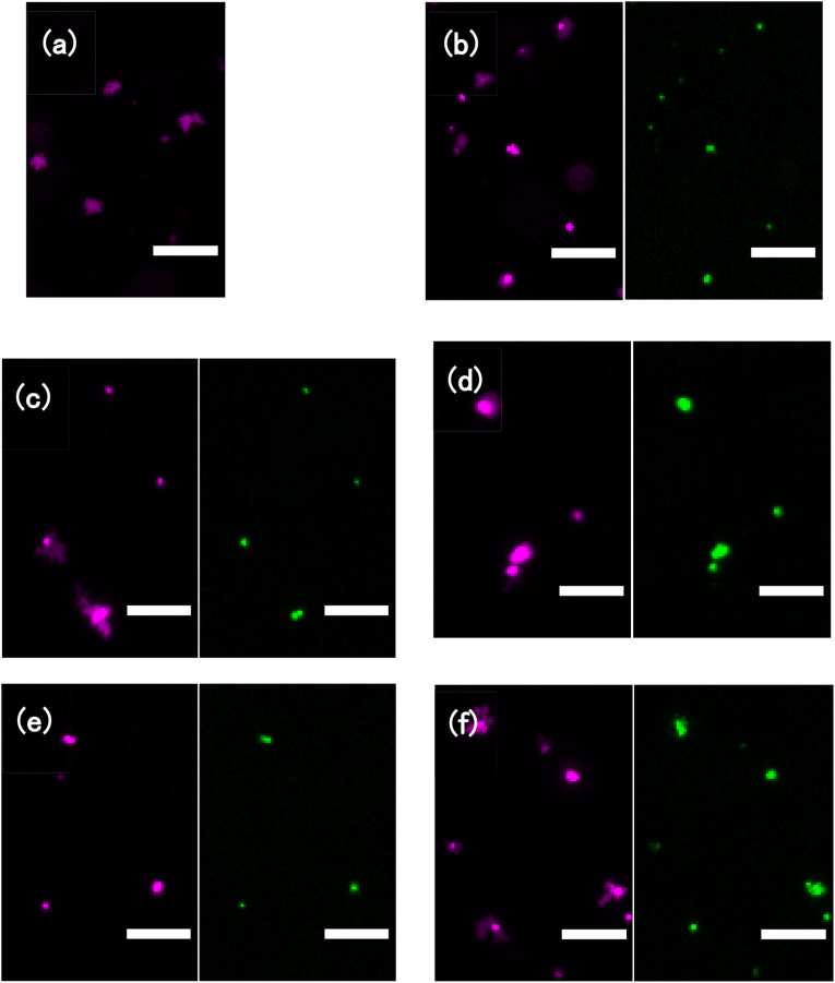 Fig. 4