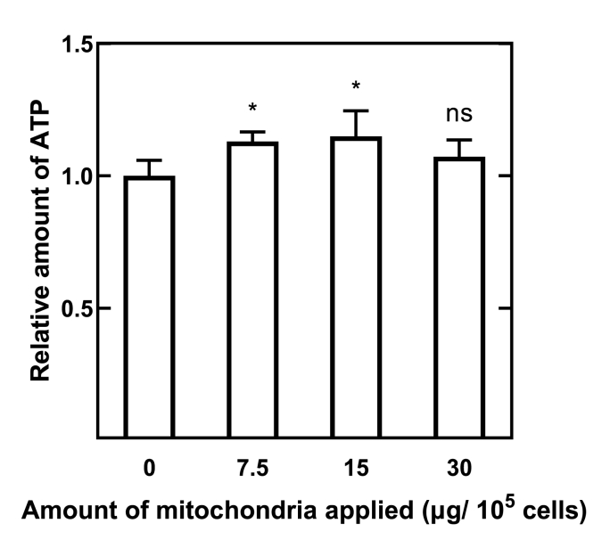 Fig. 9