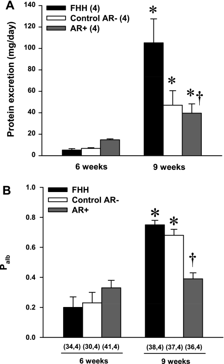 Fig. 8.